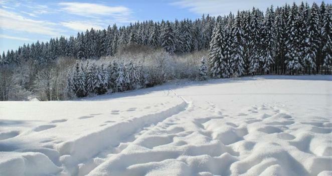 Maier Chalet Bayerisch Eisenstein Eksteriør bilde